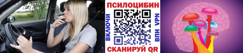 Галлюциногенные грибы Psilocybe  Купить где  Питкяранта 